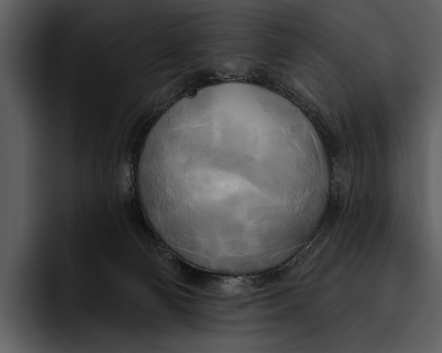 X0000095680130200801291205