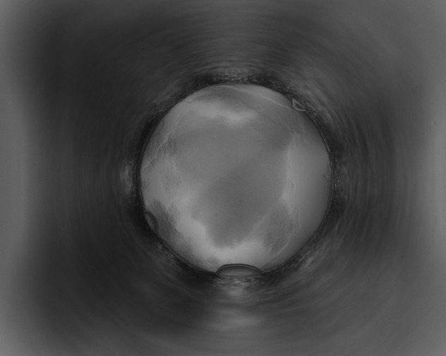 X0000095680131200801291205