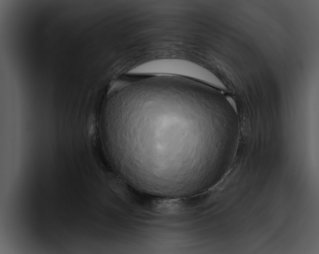 X0000095680132200801291205