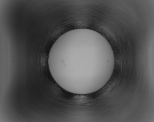 X0000095680133200801291205