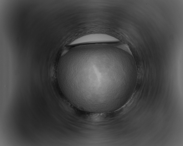 X0000095680136200801291205