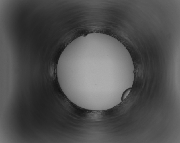 X0000095680138200801291205