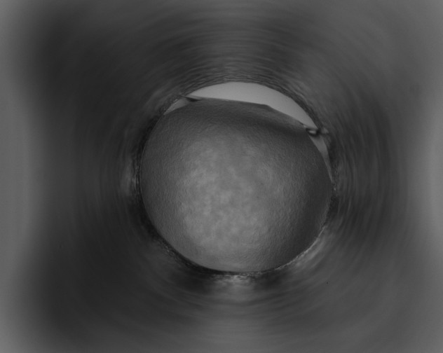 X0000095680140200801291204