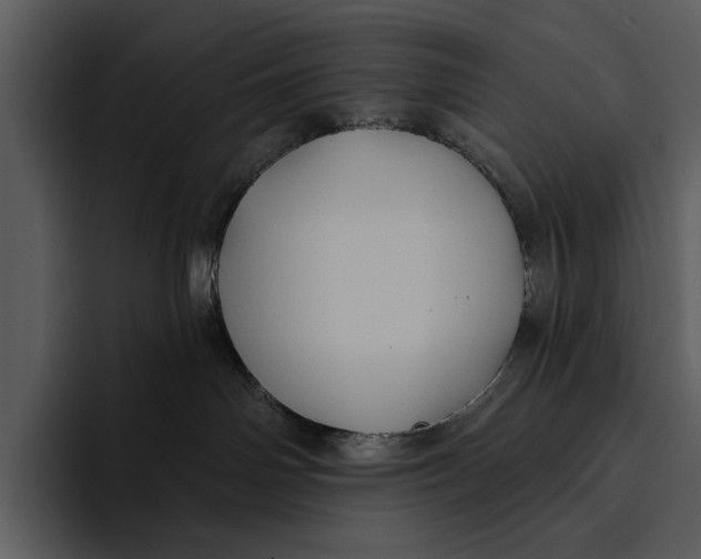 X0000095680142200801291204