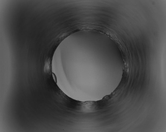 X0000095680143200801291204