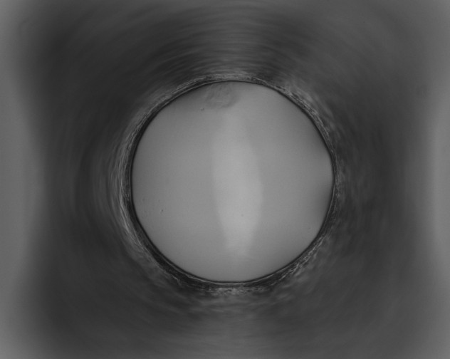 X0000095680145200801291204