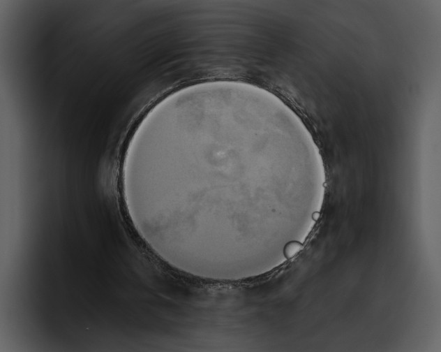 X0000095680146200801291204