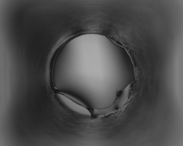 X0000095680150200801291204