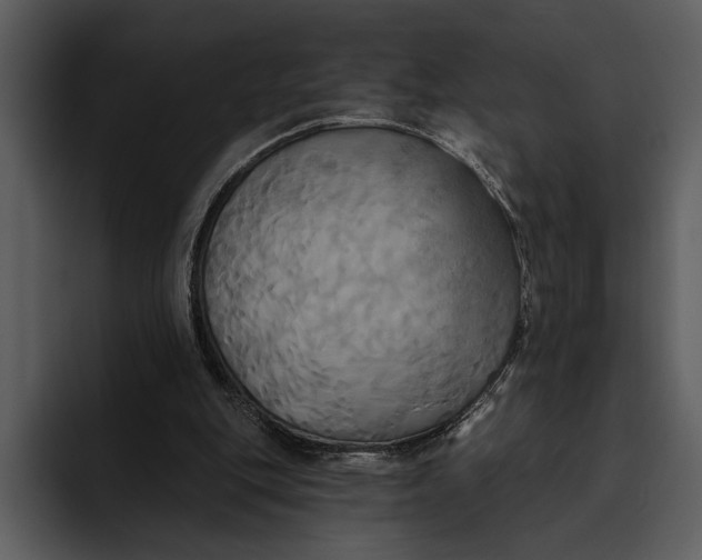 X0000095680151200801291204