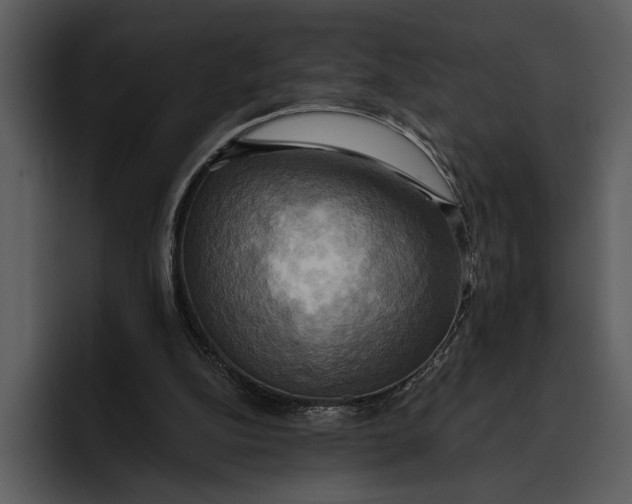 X0000095680152200801291204