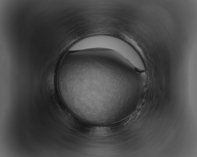 X0000095680154200801291204