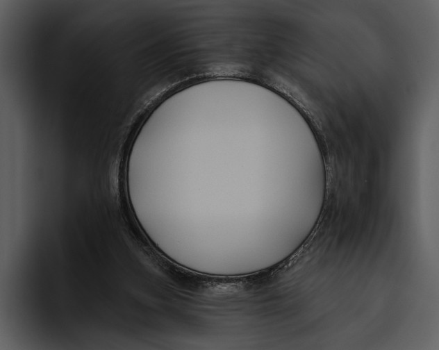 X0000095680155200801291204