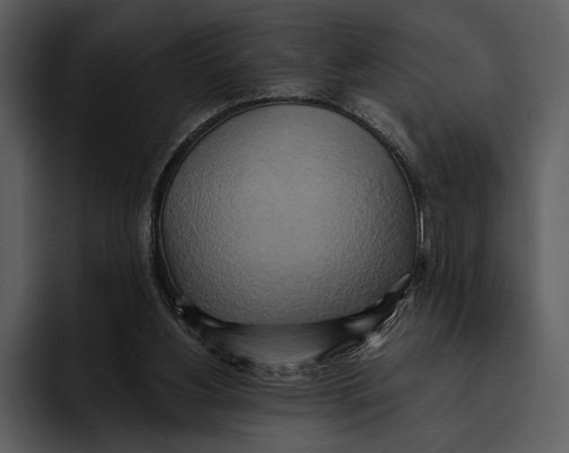 X0000095680156200801291204