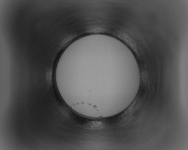 X0000095680159200801291204