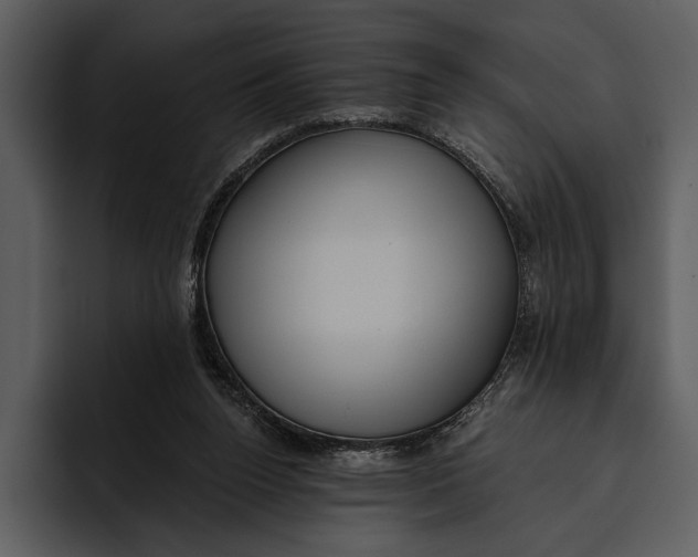 X0000095680160200801291204