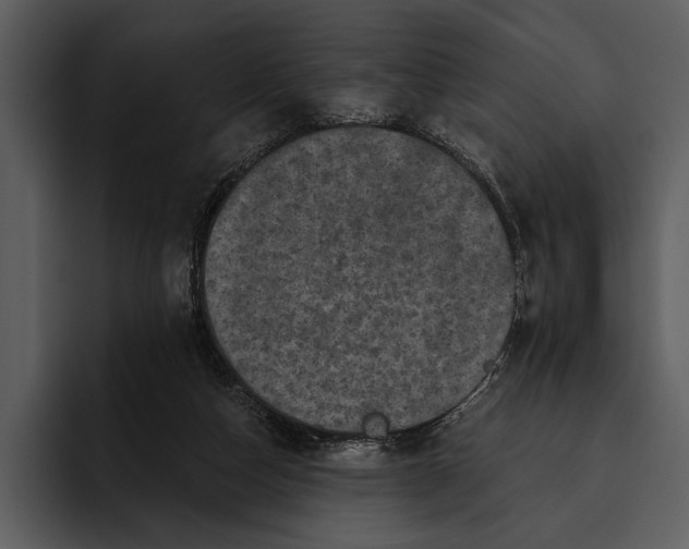 X0000095680162200801291204