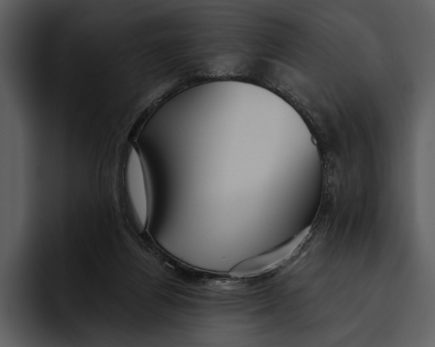 X0000095680164200801291204