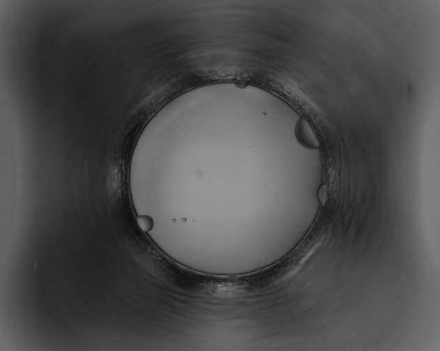 X0000095680165200801291204