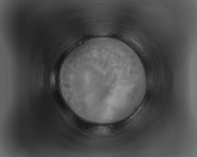 X0000095680166200801291204