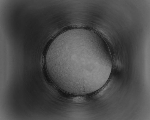 X0000095680168200801291204