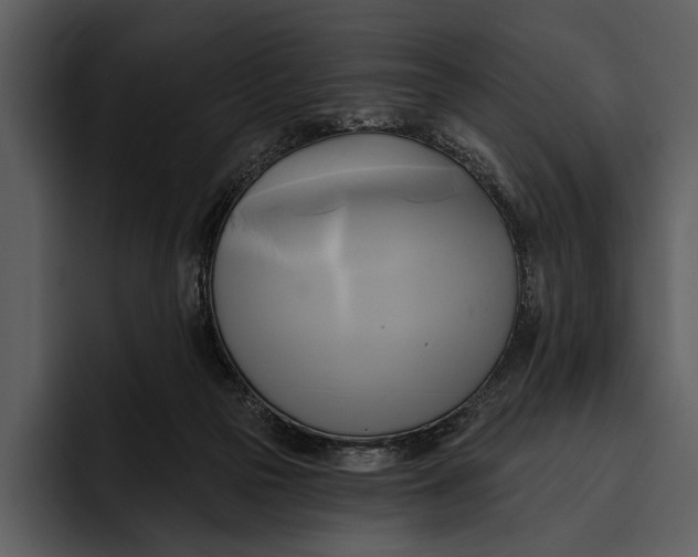 X0000095680169200801291204