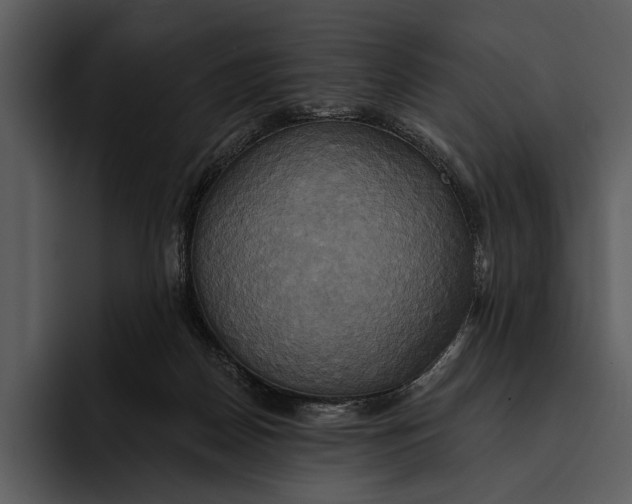 X0000095680170200801291204