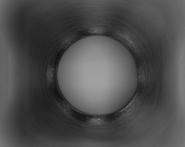 X0000095680171200801291204