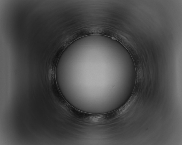 X0000095680172200801291204