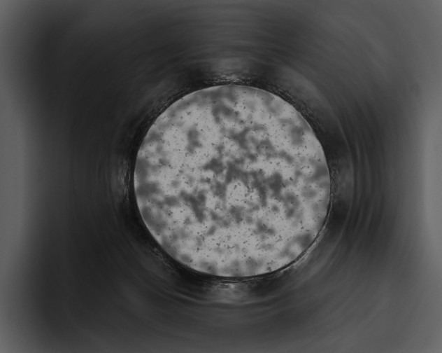 X0000095680174200801291204