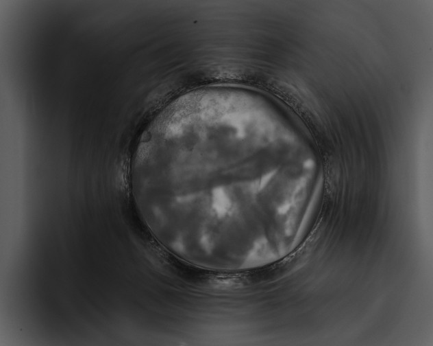 X0000095680175200801291204