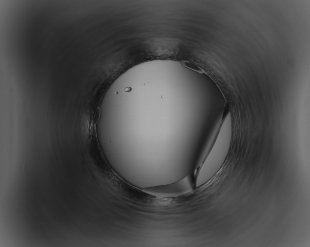 X0000095680176200801291204