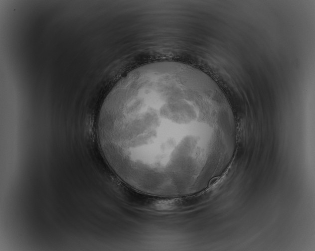 X0000095680178200801291204