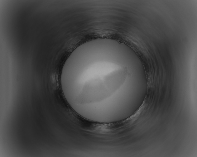 X0000095680182200801291204