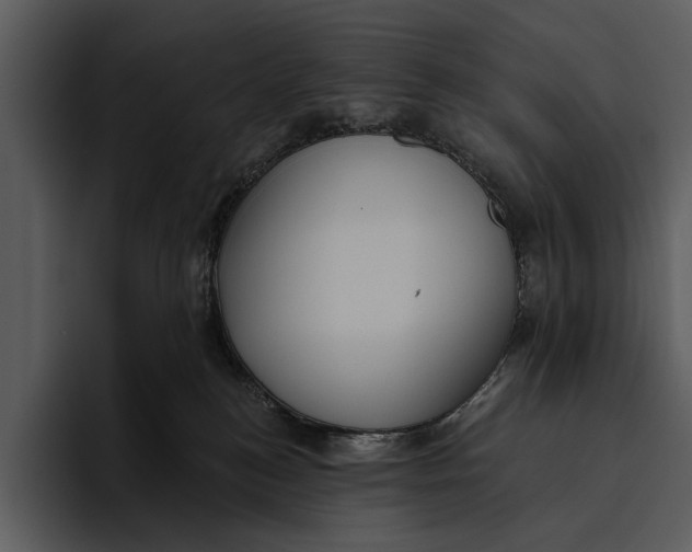 X0000095680184200801291204