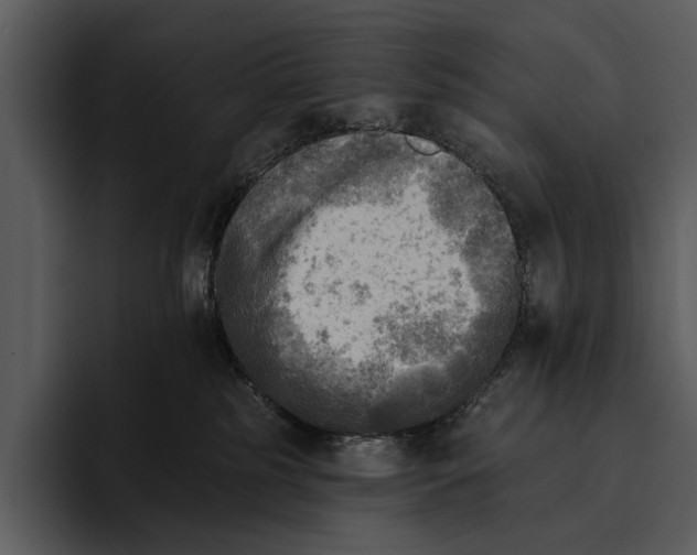 X0000095680185200801291204