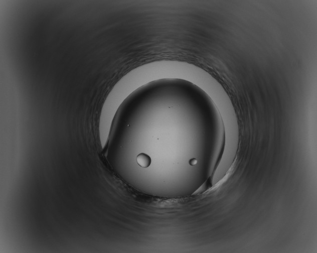 X0000095680186200801291204