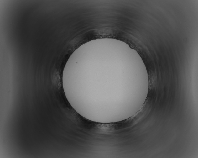 X0000095680187200801291204