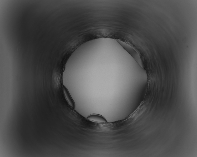 X0000095680188200801291204