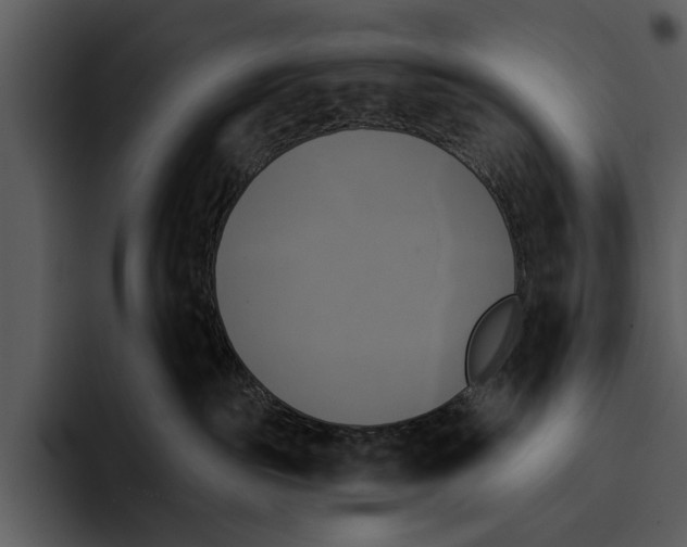 X0000095680189200801291204