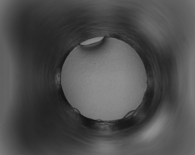 X0000095680190200801291204