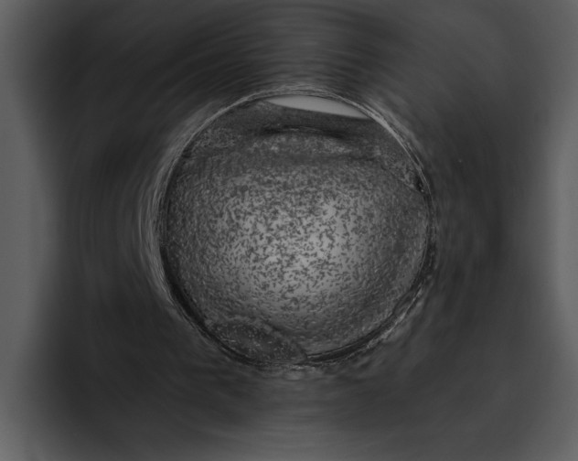 X0000095680193200801291204