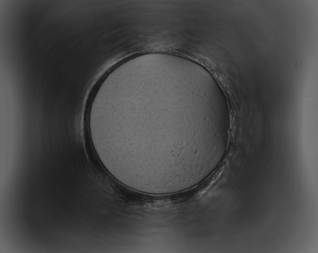 X0000095680196200801291204