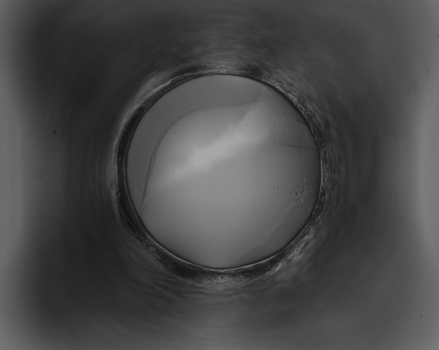 X0000095680198200801291204