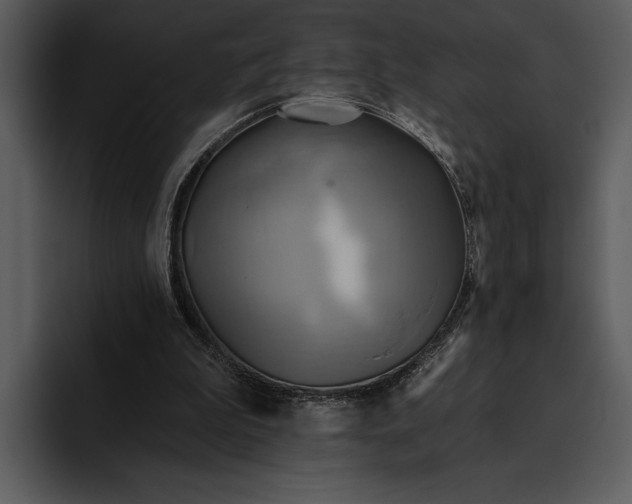 X0000095680199200801291204