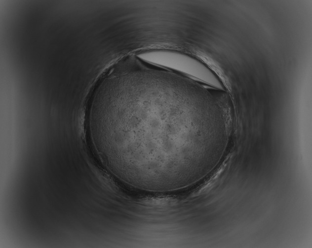 X0000095680201200801291204