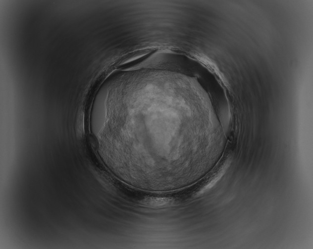 X0000095680205200801291204