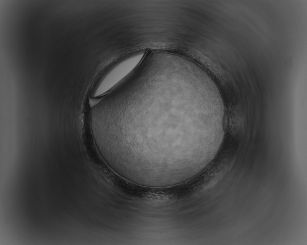 X0000095680207200801291204