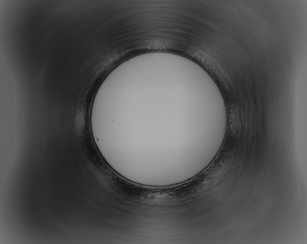 X0000095680208200801291204