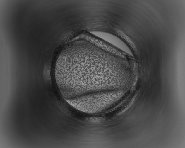 X0000095680209200801291204