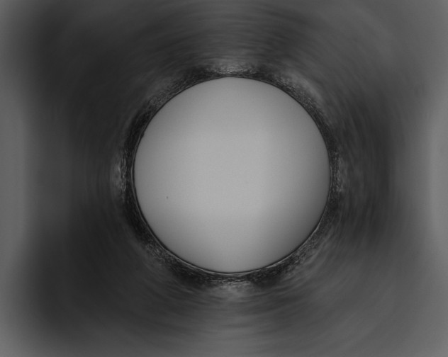 X0000095680210200801291204